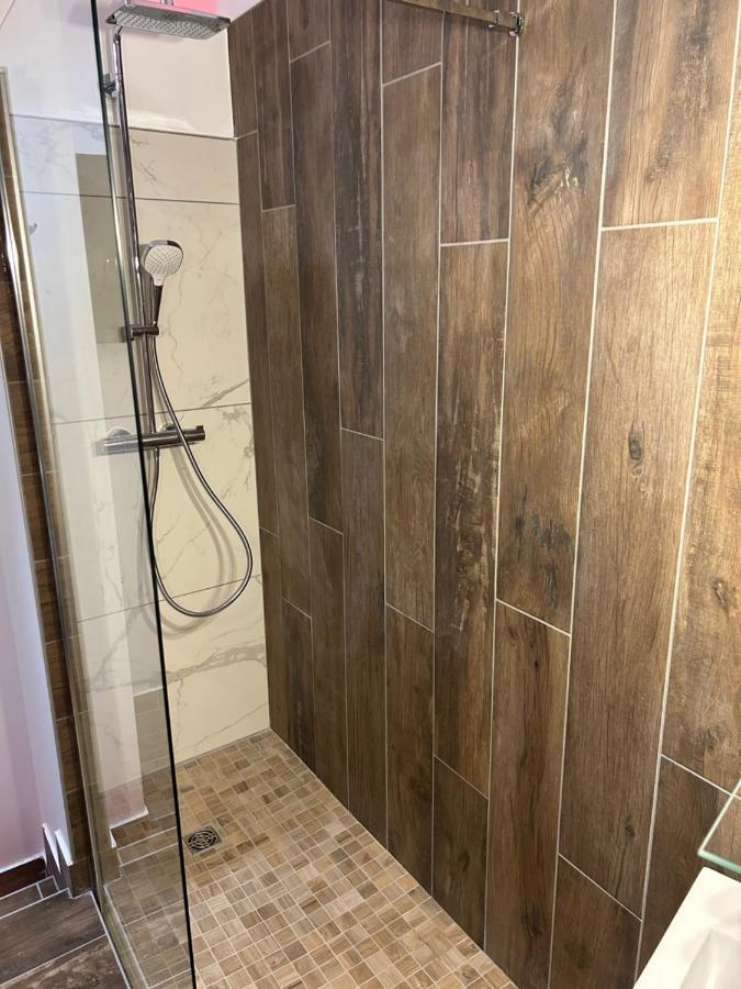 Chambre La Suite Pres Gare Grenoble Dış mekan fotoğraf